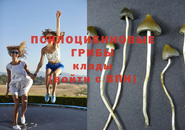 mdma Горнозаводск