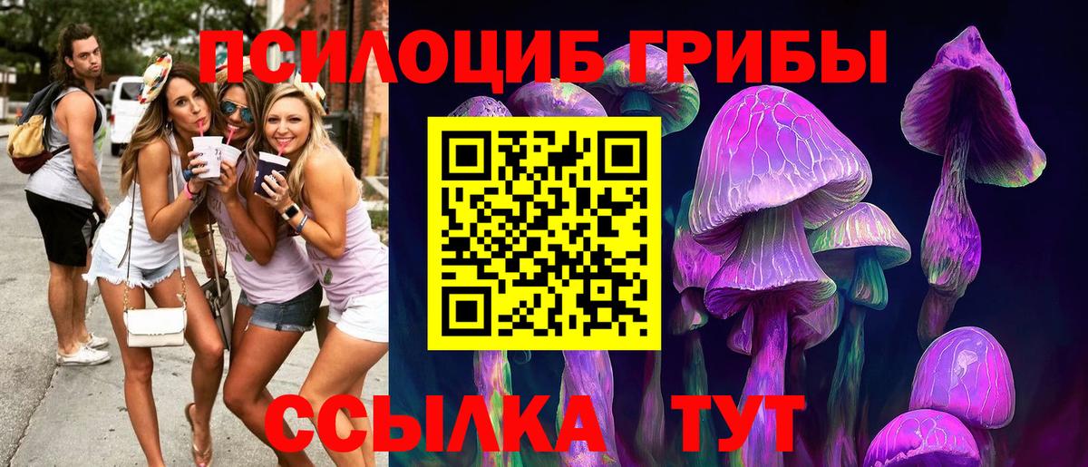 Псилоцибиновые грибы Psilocybine cubensis Десногорск